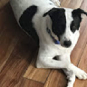 Meet your Posher, Elle